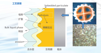 移动床生物膜反应器技术（MBBR）